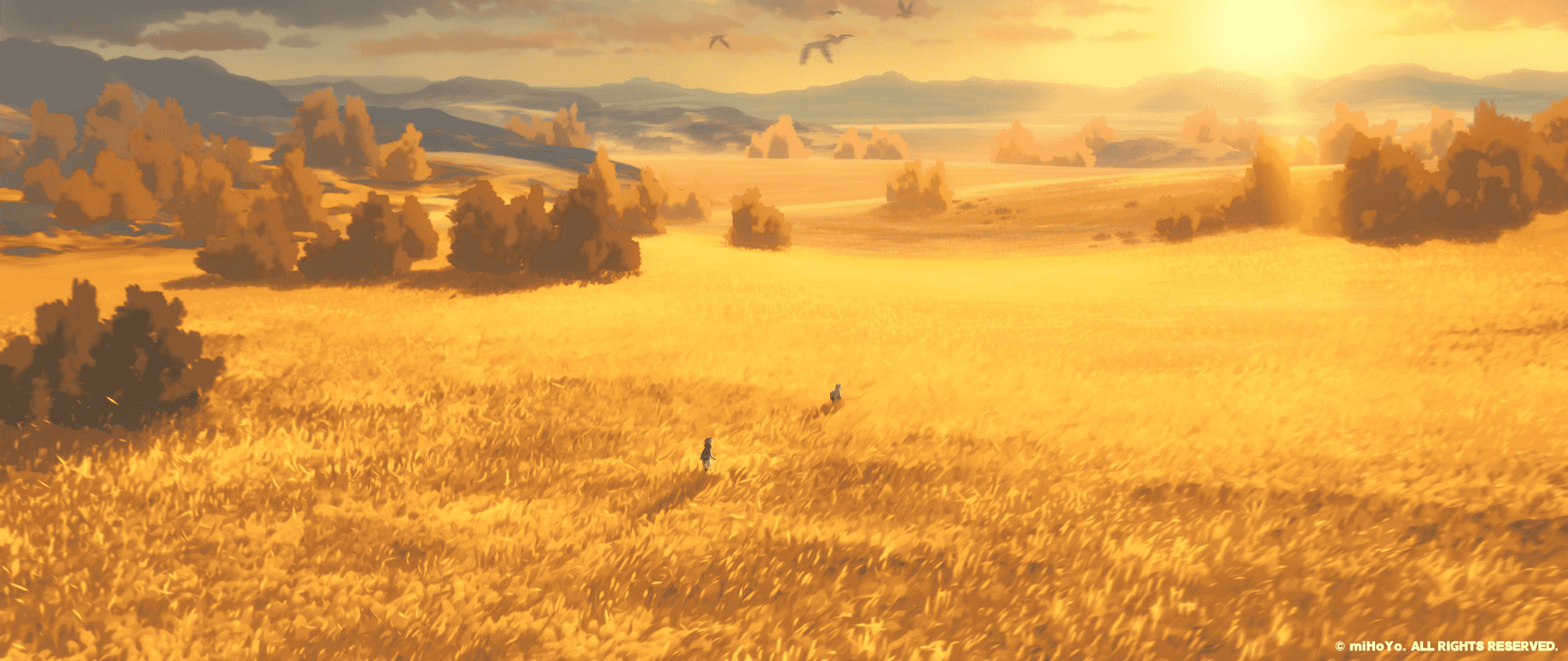 python 学习第七天