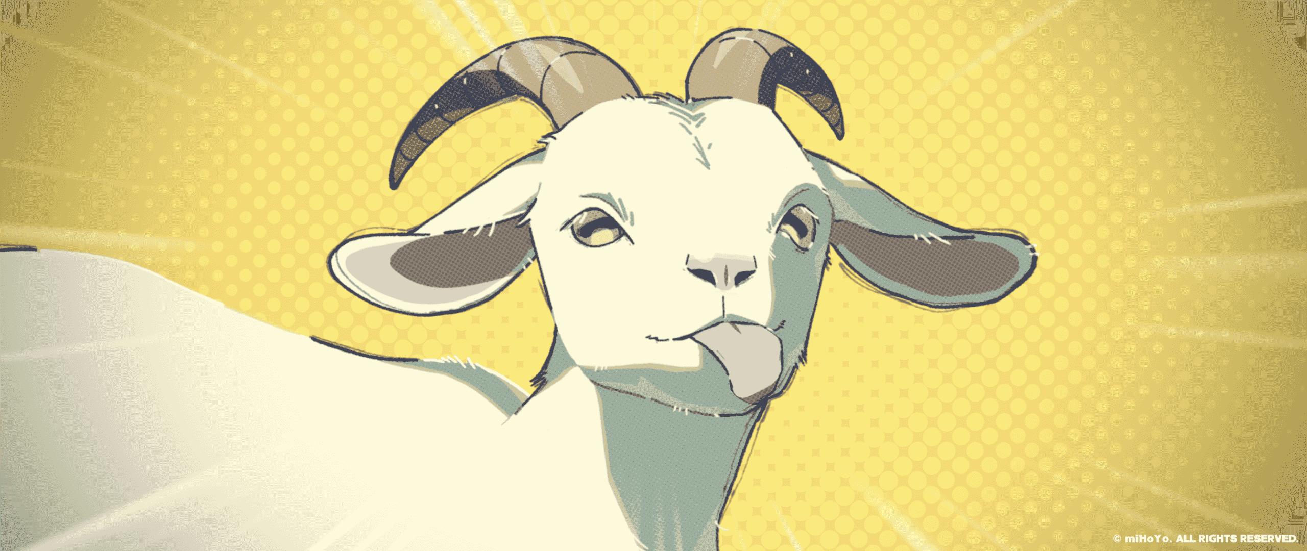 python 学习第三天